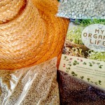รีวิวหนังสือ My organic life