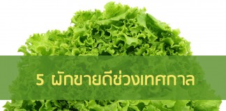 5 ผักขายดีช่วงเทศกาล