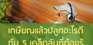 เกษียณแล้วปลูกอะไรดี กับ 5 เคล็ดลับที่ต้องรู้ เกษียณแล้วปลูกอะไรดี