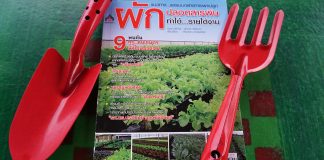 รีวิวหนังสือผักปลอดสารพิษ ทำได้…รายได้งาม รีวิวหนังสือผักปลอดสารพิษ