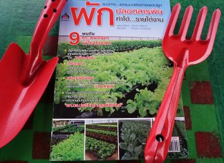 รีวิวหนังสือผักปลอดสารพิษ