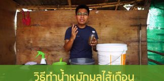 วิธีทำน้ำหมักมูลไส้เดือน วิธีทำน้ำหมักมูลไส้เดือน