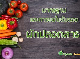 มาตรฐานและการขอใบรับรองผักปลอดสาร