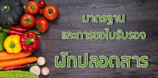 มาตรฐานและการขอใบรับรองผักปลอดสาร มาตรฐานและการขอใบรับรองผักปลอดสาร
