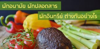 ผักอนามัย ผักปลอดสารพิษ และผักอินทรีย์ ต่างกันอย่างไร ผักอินทรีย์
