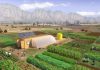 Farm from a box