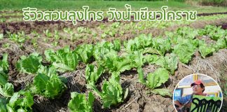 รีวิวสวนลุงไกร วังน้ำเขียวโคราช