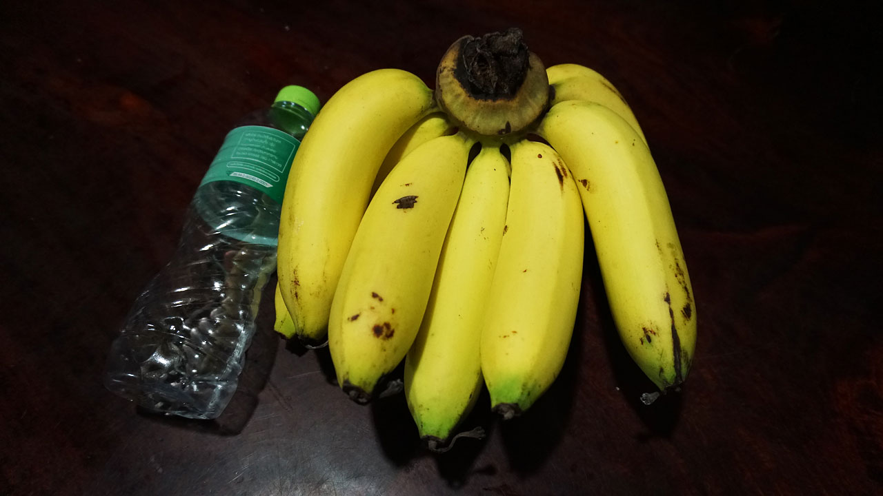 การปลูกกล้วยหอมทองอินทรีย์