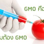 GMO คืออะไร ทำไมต้อง GMO