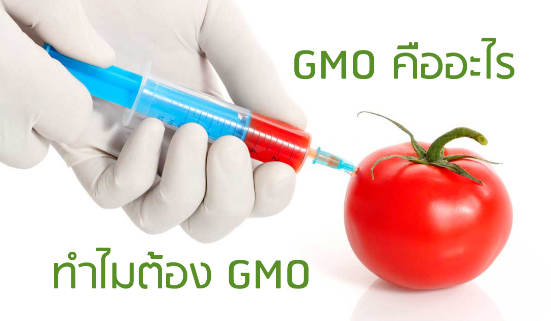 GMO คืออะไร ทำไมต้อง GMO