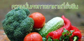 ความมั่นคงทางอาหารที่ยั่งยืน ความมั่นคงทางอาหารที่ยั่งยืน