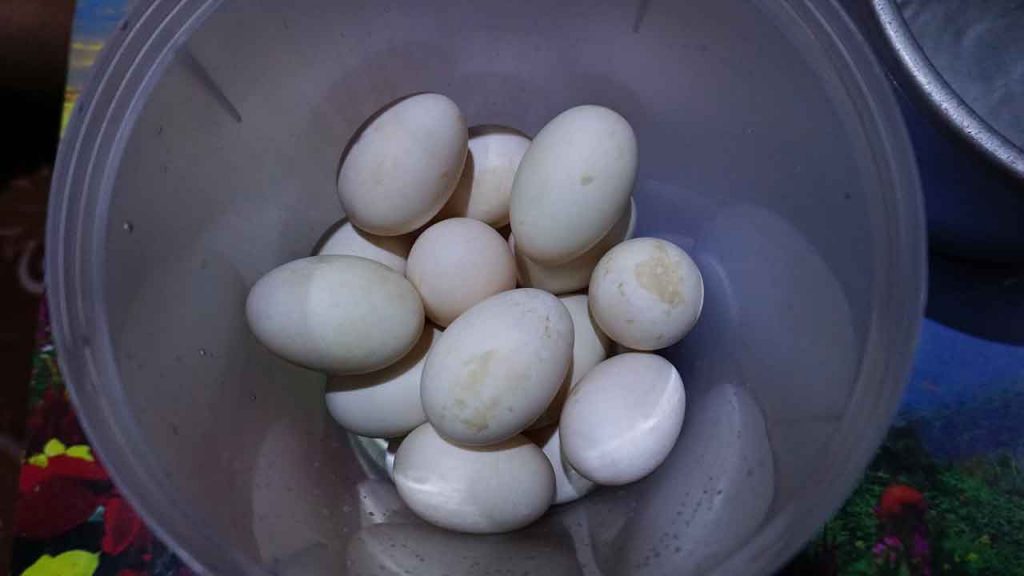 วิธีการทำไข่เค็ม
