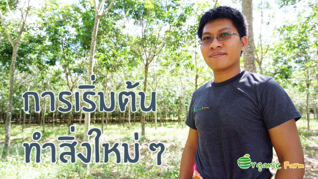 การเริ่มต้นทำสิ่งใหม่ ๆ