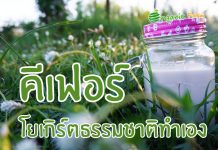 คีเฟอร์ โยเกิร์ตธรรมชาติทำเอง