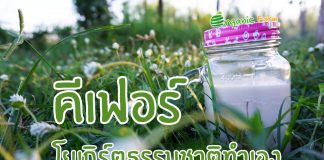 คีเฟอร์ โยเกิร์ตธรรมชาติทำเอง คีเฟอร์ โยเกิร์ตธรรมชาติทำเอง
