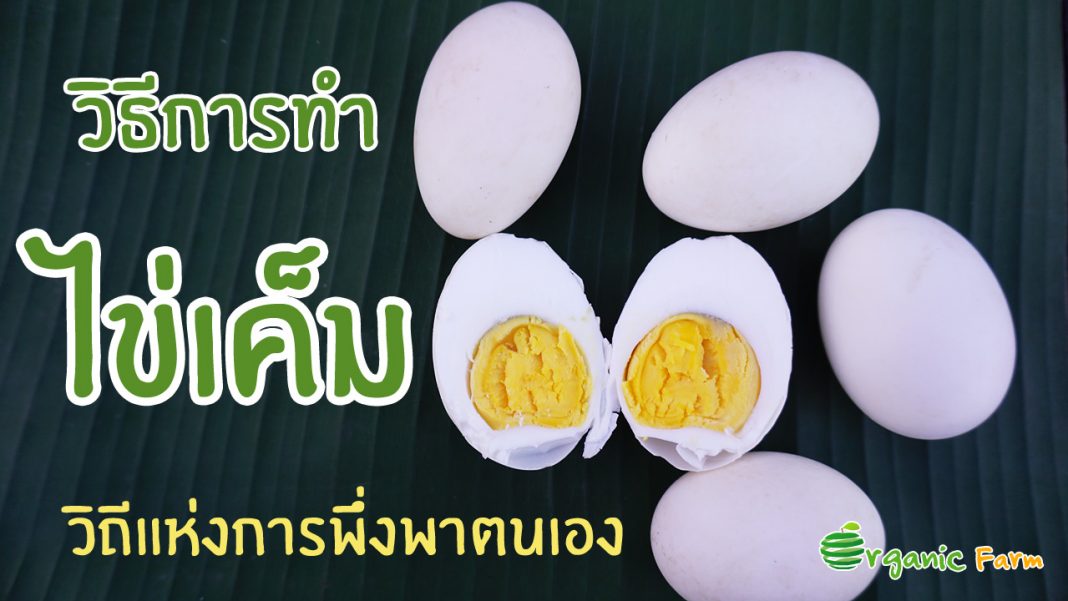 วิธีการทำไข่เค็ม