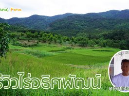 ไร่อธิศพัฒน์