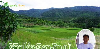 รีวิวไร่อธิศพัฒน์ ไร่อธิศพัฒน์