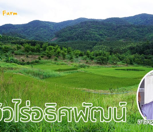 ไร่อธิศพัฒน์