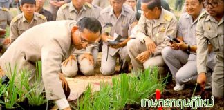 เกษตรทฤษฎีใหม่ เกษตรทฤษฎีใหม่