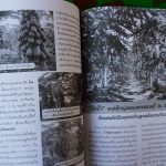 DSC02919