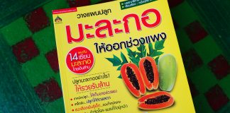 รีวิวหนังสือวางแผนปลูกมะละกอให้ออกช่วงแพง