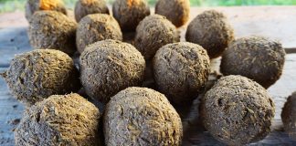 วิธีทำ EM Ball บำบัดน้ำเสีย วิธีทำ EM Ball