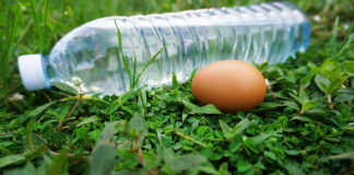 วิธีทำจุลินทรีย์สังเคราะห์แสง วิธีทำจุลินทรีย์สังเคราะห์แสง