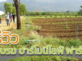 รีวิวการอบรมที่ฮาร์โมนีไลฟ์ฟาร์ม