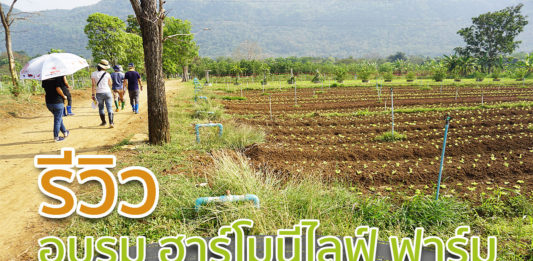 รีวิวการอบรมที่ฮาร์โมนีไลฟ์ฟาร์ม